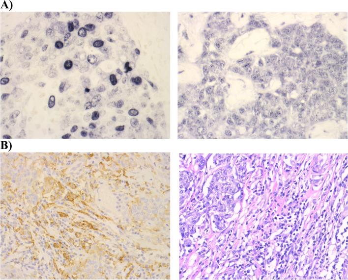 https://cdn.ncbi.nlm.nih.gov/pmc/blobs/8f82/9743555/02e59cba39ce/12885_2022_10408_Fig1_HTML.jpg