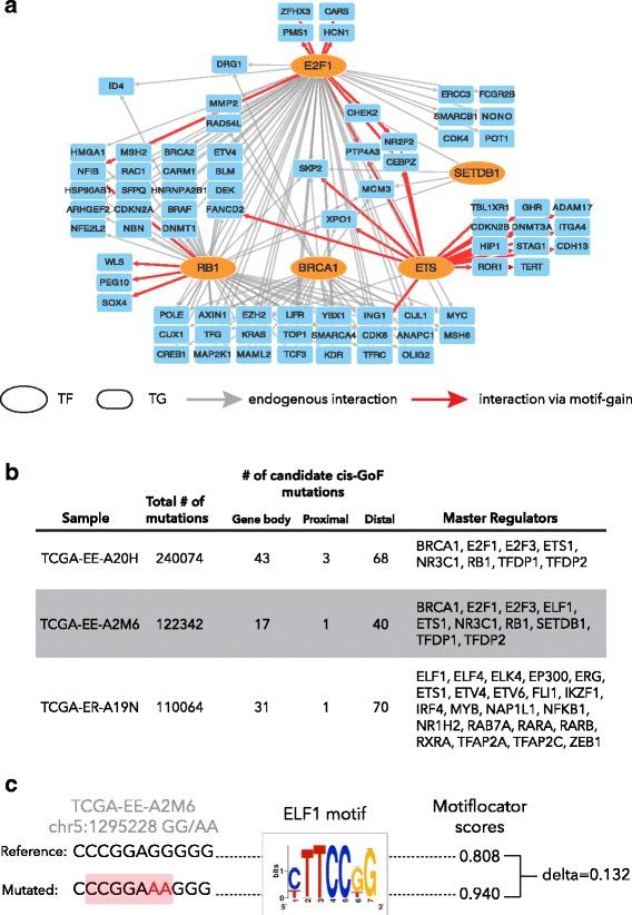 https://cdn.ncbi.nlm.nih.gov/pmc/blobs/8f84/5575942/b23be0e1a673/13073_2017_464_Fig3_HTML.jpg