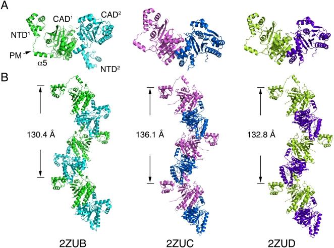 https://cdn.ncbi.nlm.nih.gov/pmc/blobs/8f88/2654063/def10a13194d/pone.0004890.g001.jpg