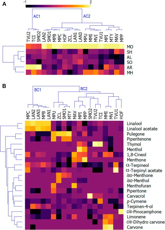 https://cdn.ncbi.nlm.nih.gov/pmc/blobs/8f8a/9108200/3cde86284d81/fphar-13-893634-g002.jpg