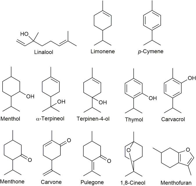 https://cdn.ncbi.nlm.nih.gov/pmc/blobs/8f8a/9108200/ffd4e2c79f59/fphar-13-893634-g001.jpg