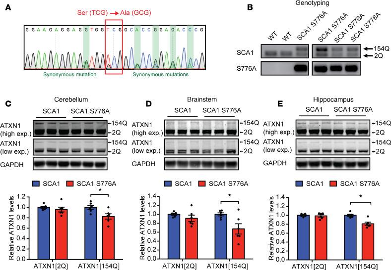 https://cdn.ncbi.nlm.nih.gov/pmc/blobs/8f8b/7934855/136381fd8c14/jciinsight-6-144955-g040.jpg