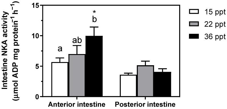 https://cdn.ncbi.nlm.nih.gov/pmc/blobs/8f8b/8465821/165bc4585258/animals-11-02607-g003.jpg