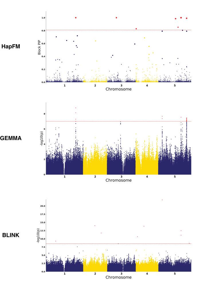 https://cdn.ncbi.nlm.nih.gov/pmc/blobs/8f8d/9612827/4fbed9775969/pgen.1010437.g005.jpg
