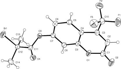 https://cdn.ncbi.nlm.nih.gov/pmc/blobs/8f8e/3006816/21aa11f4bac3/e-66-o1606-fig1.jpg