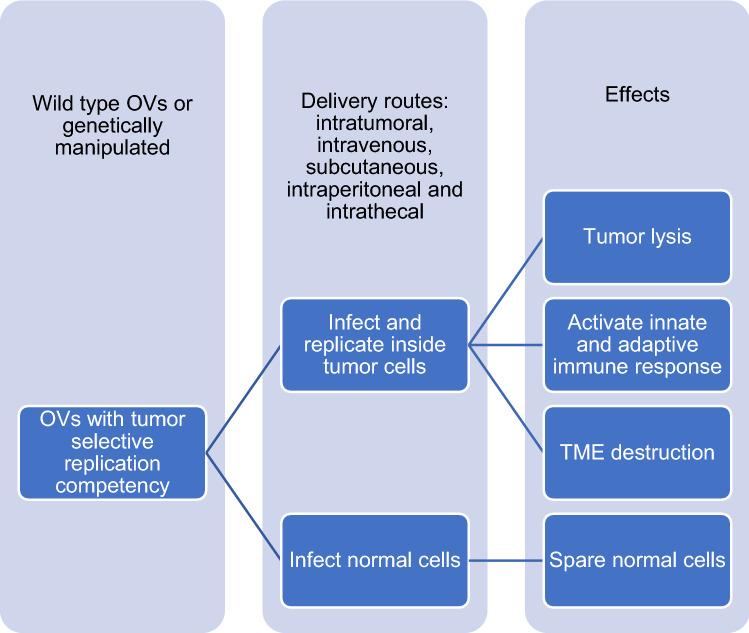 https://cdn.ncbi.nlm.nih.gov/pmc/blobs/8f8f/9399329/4c316c6b8895/12672_2022_547_Fig3_HTML.jpg