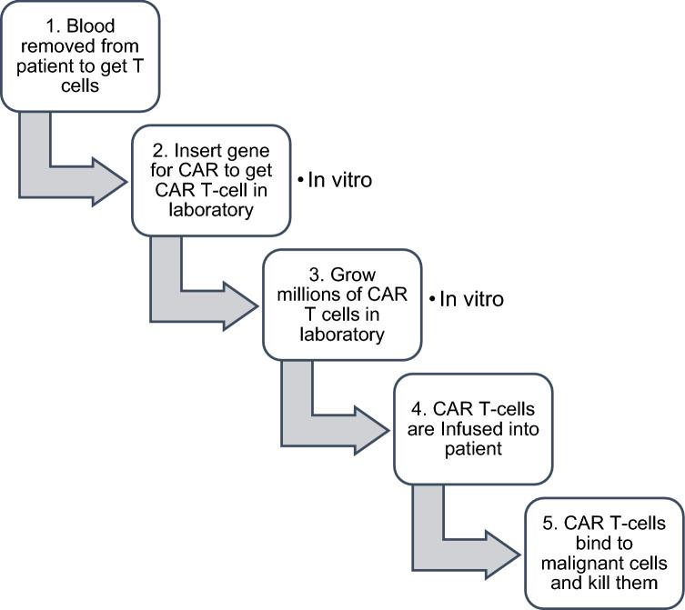 https://cdn.ncbi.nlm.nih.gov/pmc/blobs/8f8f/9399329/f2db22677da5/12672_2022_547_Fig2_HTML.jpg