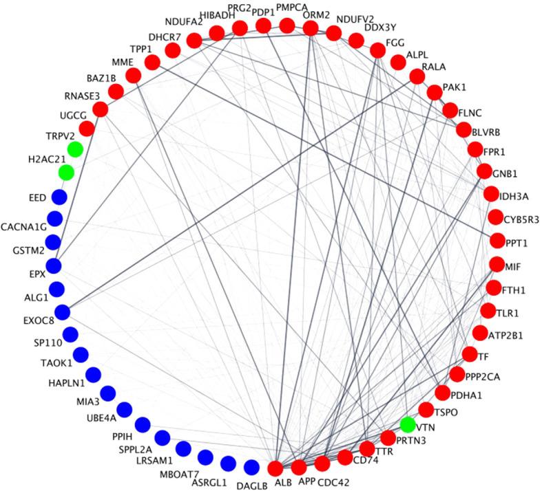 https://cdn.ncbi.nlm.nih.gov/pmc/blobs/8f91/12391923/5fbb1e61fe99/fimmu-16-1646141-g007.jpg