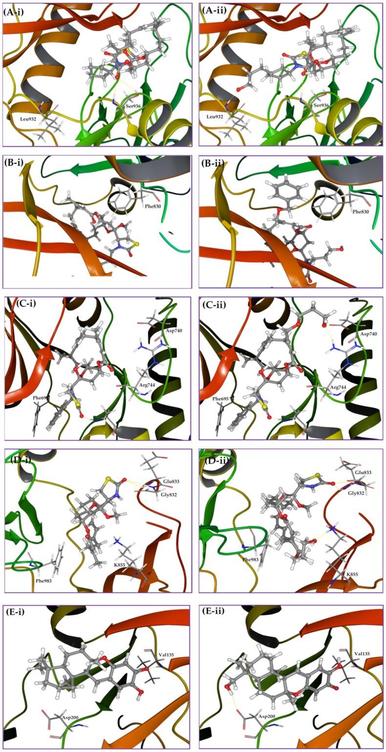 https://cdn.ncbi.nlm.nih.gov/pmc/blobs/8f91/4820311/b9f68b1427ea/marinedrugs-14-00057-g006.jpg