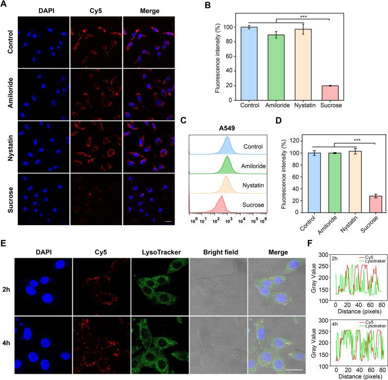 https://cdn.ncbi.nlm.nih.gov/pmc/blobs/8f92/9675138/9971eaa7f519/12951_2022_1701_Fig3_HTML.jpg