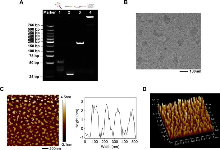 https://cdn.ncbi.nlm.nih.gov/pmc/blobs/8f92/9675138/da4b0ab0fd7c/12951_2022_1701_Fig1_HTML.jpg
