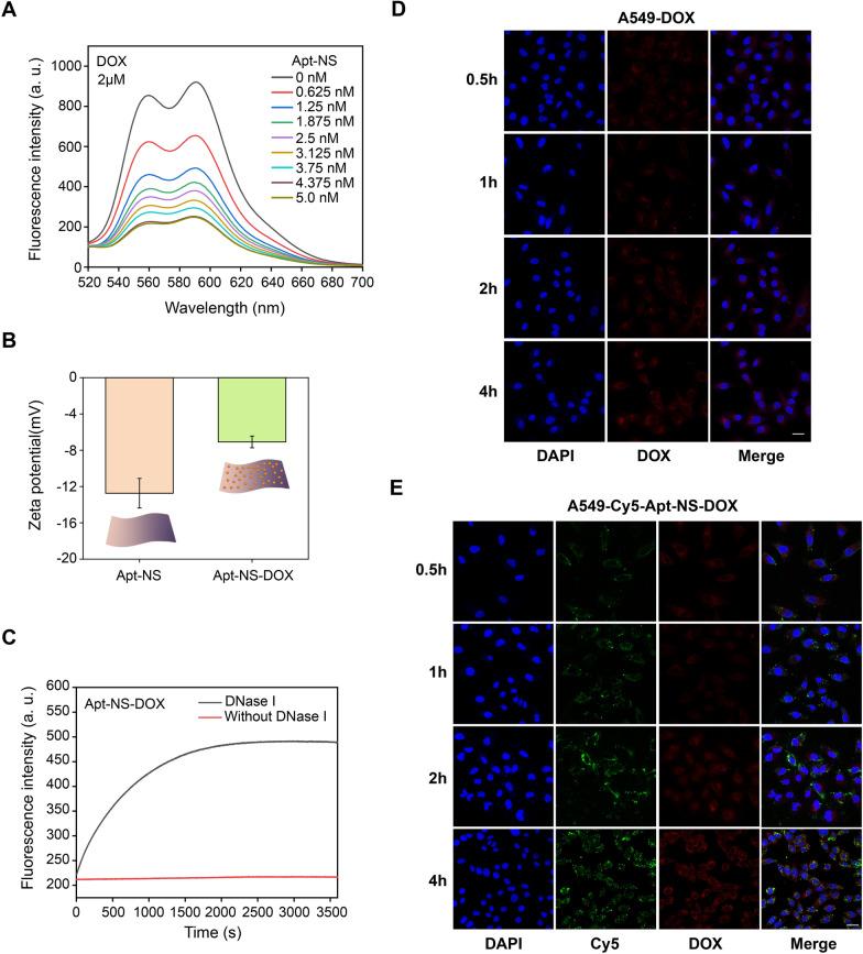 https://cdn.ncbi.nlm.nih.gov/pmc/blobs/8f92/9675138/e7d7b361f847/12951_2022_1701_Fig4_HTML.jpg