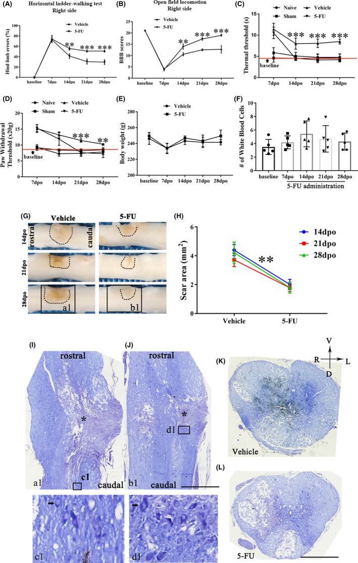 https://cdn.ncbi.nlm.nih.gov/pmc/blobs/8f93/9627390/c55cc71e0664/CNS-28-2011-g001.jpg