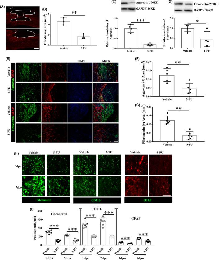 https://cdn.ncbi.nlm.nih.gov/pmc/blobs/8f93/9627390/fc9961b79141/CNS-28-2011-g004.jpg