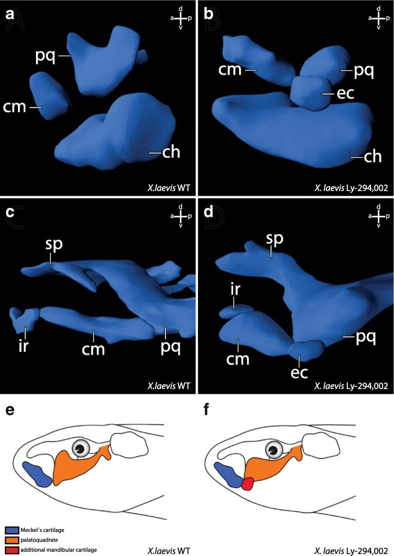 https://cdn.ncbi.nlm.nih.gov/pmc/blobs/8f95/5998585/7f6225cf6317/40851_2018_101_Fig3_HTML.jpg