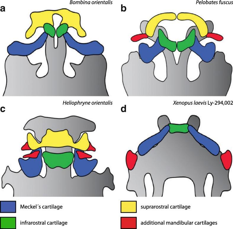 https://cdn.ncbi.nlm.nih.gov/pmc/blobs/8f95/5998585/8c018a265c27/40851_2018_101_Fig8_HTML.jpg