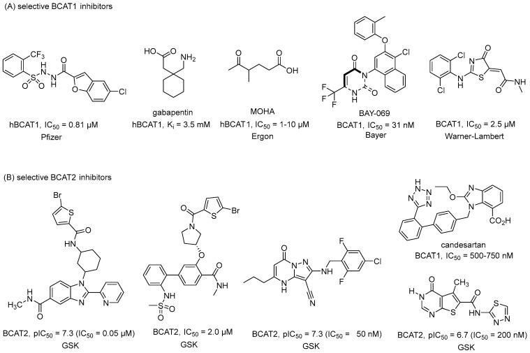 https://cdn.ncbi.nlm.nih.gov/pmc/blobs/8f96/11858294/c94aded74381/molecules-30-00904-g001.jpg