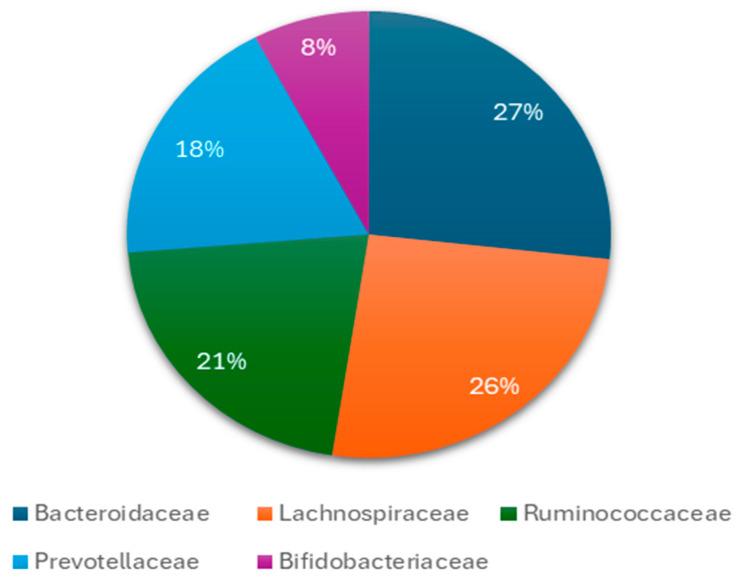 https://cdn.ncbi.nlm.nih.gov/pmc/blobs/8f9a/11677138/6fdf1b25f4a4/nutrients-16-04404-g002.jpg