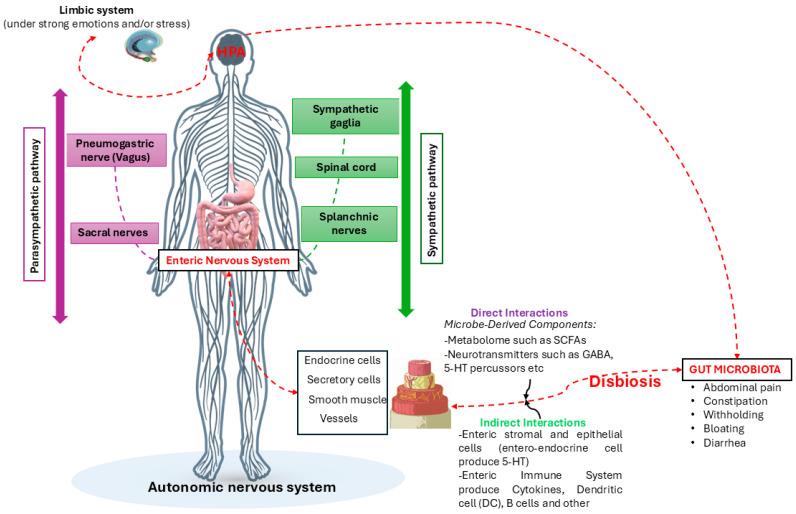 https://cdn.ncbi.nlm.nih.gov/pmc/blobs/8f9a/11677138/c5232b1e53bf/nutrients-16-04404-g005.jpg