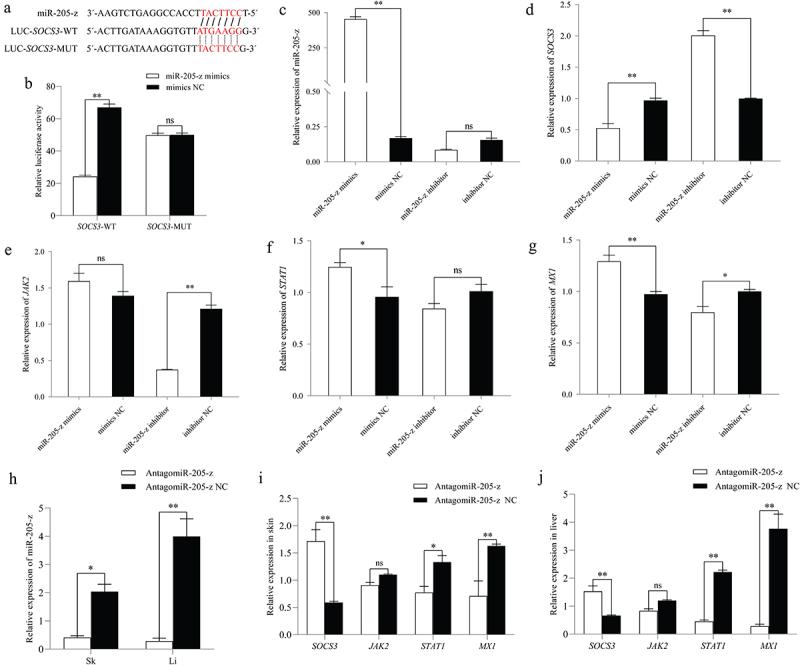 https://cdn.ncbi.nlm.nih.gov/pmc/blobs/8f9a/12036486/cac28f110613/KVIR_A_2486990_F0004_OC.jpg