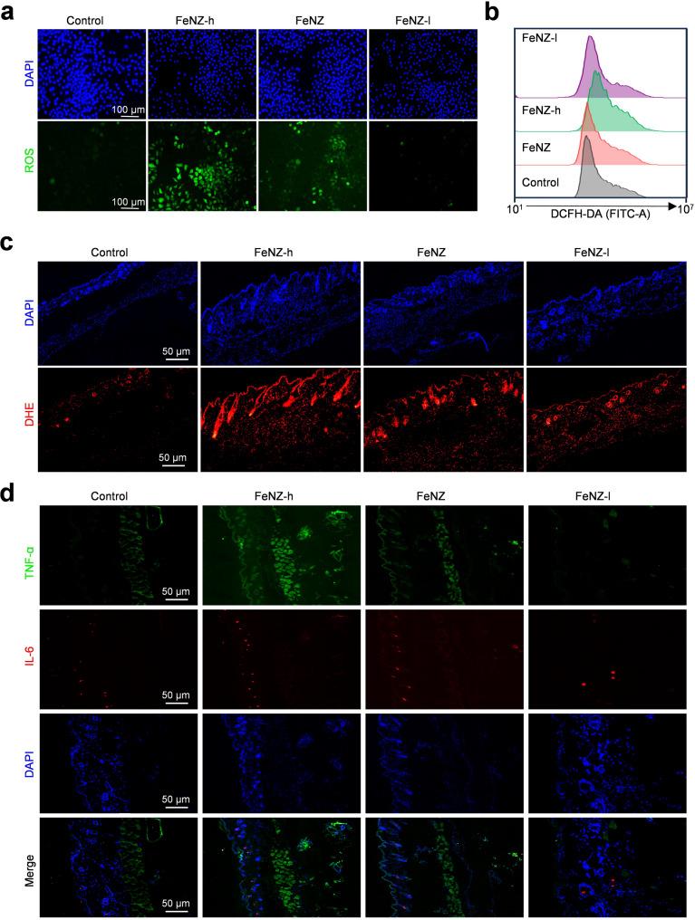 https://cdn.ncbi.nlm.nih.gov/pmc/blobs/8f9e/12178039/89f6d6286385/12951_2025_3495_Fig7_HTML.jpg