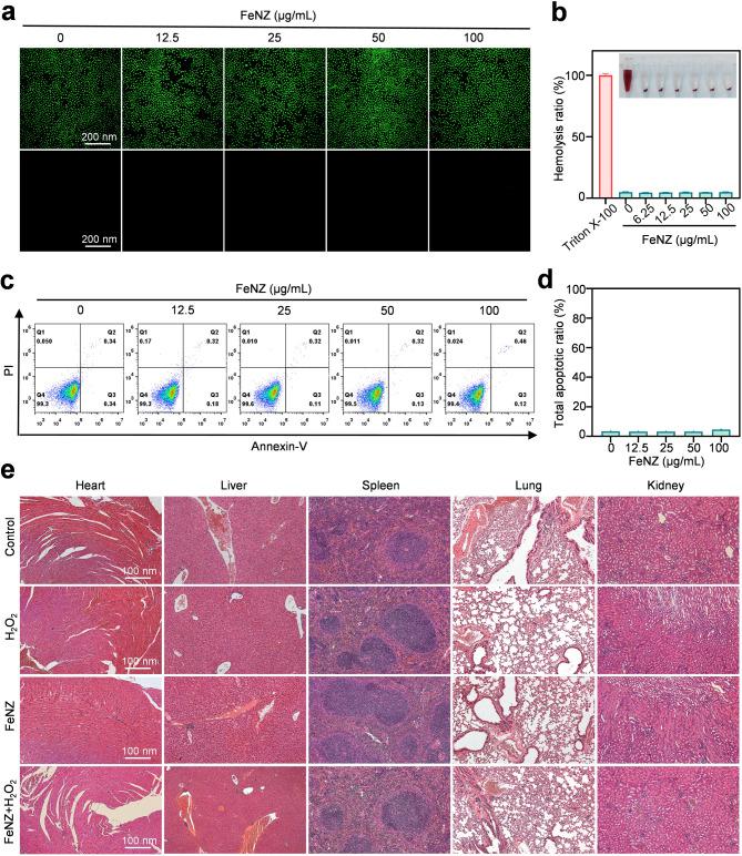 https://cdn.ncbi.nlm.nih.gov/pmc/blobs/8f9e/12178039/acf7c5f01274/12951_2025_3495_Fig8_HTML.jpg