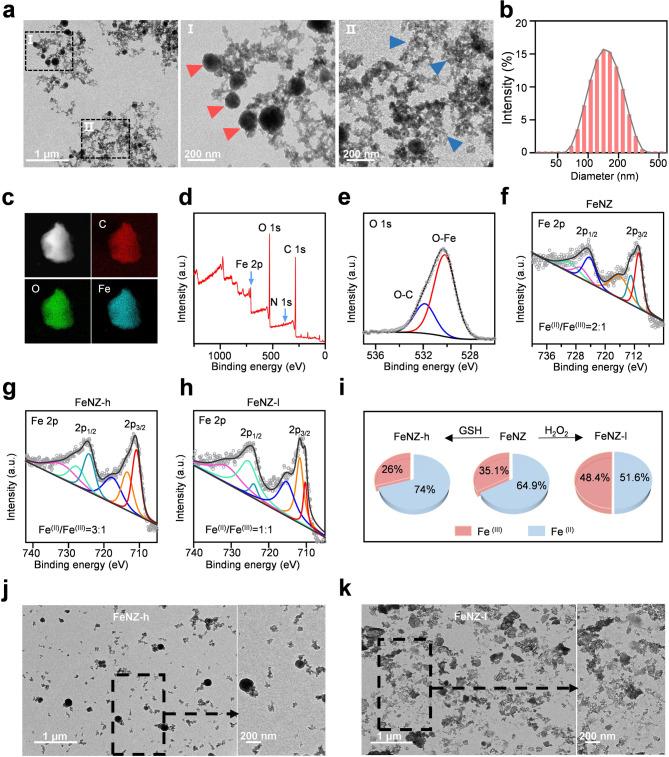https://cdn.ncbi.nlm.nih.gov/pmc/blobs/8f9e/12178039/e335de591234/12951_2025_3495_Fig1_HTML.jpg