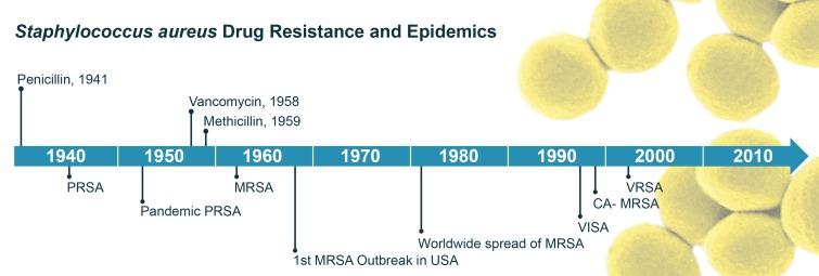https://cdn.ncbi.nlm.nih.gov/pmc/blobs/8f9f/5482303/73e239b947a3/yjbm_90_2_269_g01.jpg