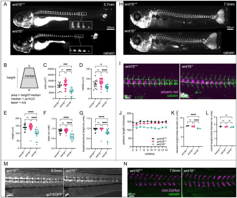https://cdn.ncbi.nlm.nih.gov/pmc/blobs/8fa0/9674140/15f271436794/pgen.1010496.g006.jpg