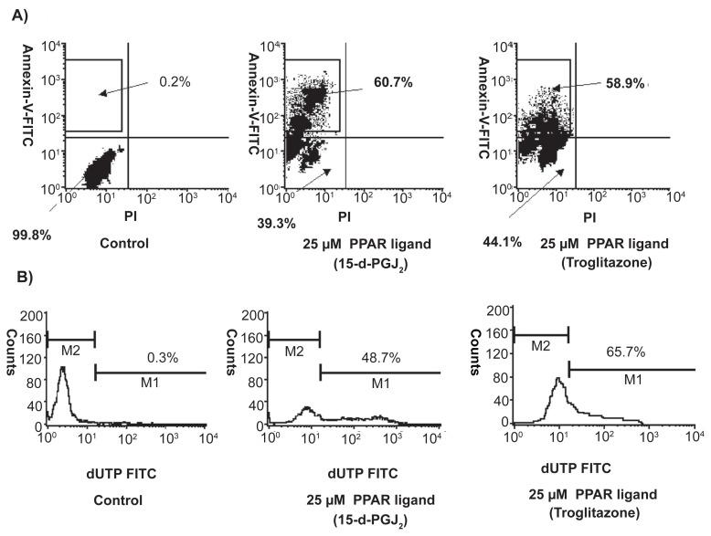https://cdn.ncbi.nlm.nih.gov/pmc/blobs/8fa1/3864913/1fde922cf475/sart-3-2009-099f4.jpg