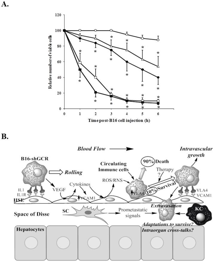 https://cdn.ncbi.nlm.nih.gov/pmc/blobs/8fa1/4011753/91b436126bf9/pone.0096466.g006.jpg