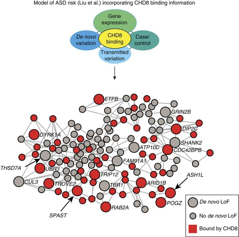 https://cdn.ncbi.nlm.nih.gov/pmc/blobs/8fa1/4366524/61cc58faaadb/ncomms7404-f6.jpg