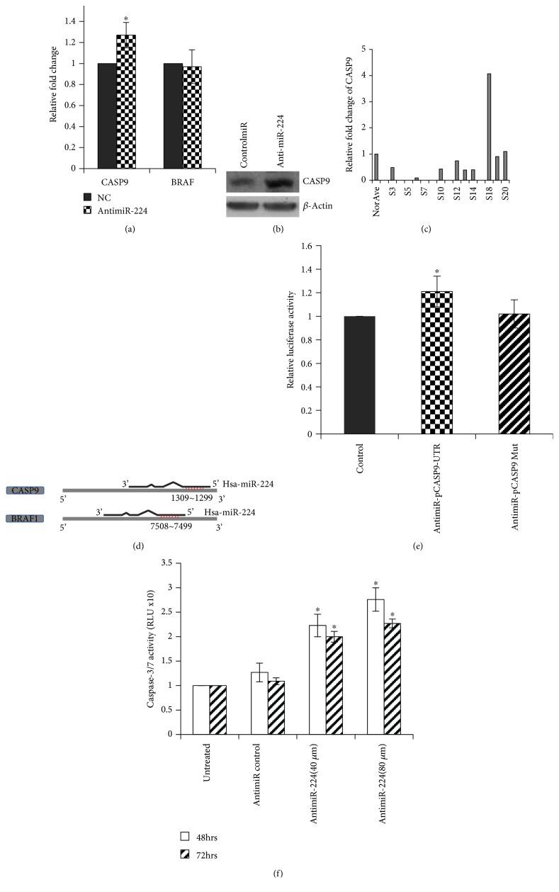 https://cdn.ncbi.nlm.nih.gov/pmc/blobs/8fa1/6388334/c7f0c7032102/DM2019-7378967.004.jpg