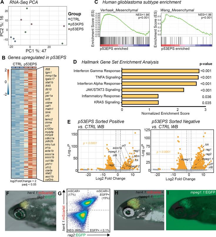 https://cdn.ncbi.nlm.nih.gov/pmc/blobs/8fa3/11272161/04c49d9037fb/elife-93077-fig2.jpg