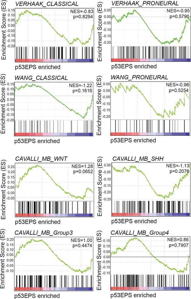 https://cdn.ncbi.nlm.nih.gov/pmc/blobs/8fa3/11272161/4a7f8ef6d46a/elife-93077-fig2-figsupp1.jpg