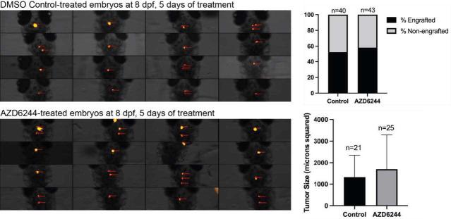 https://cdn.ncbi.nlm.nih.gov/pmc/blobs/8fa3/11272161/4df197e10274/elife-93077-sa3-fig2.jpg