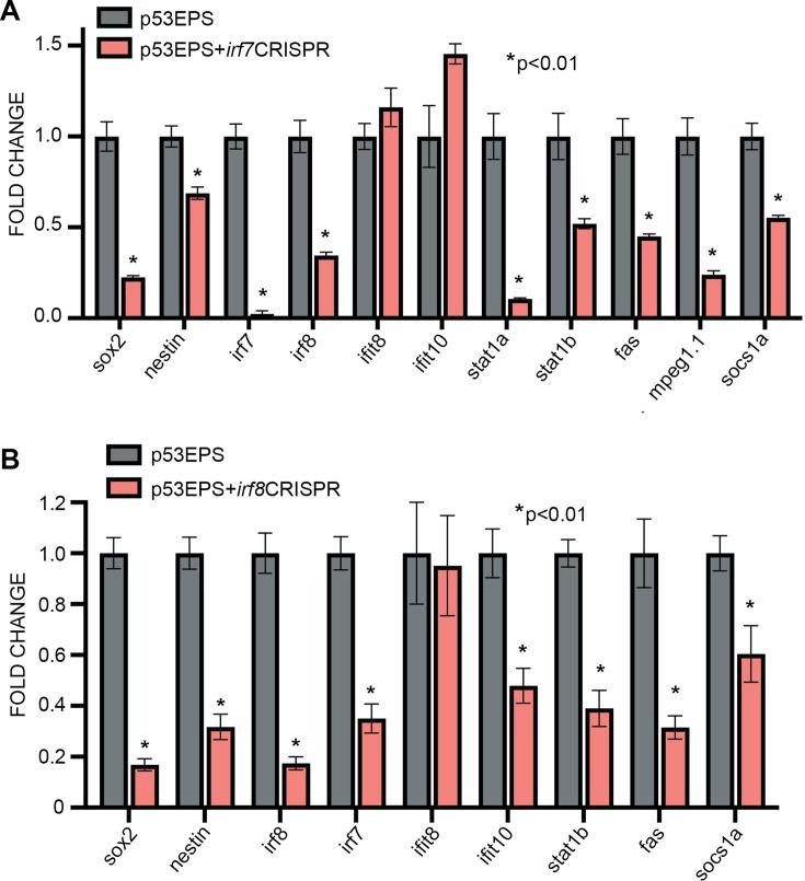 https://cdn.ncbi.nlm.nih.gov/pmc/blobs/8fa3/11272161/7a923eadd95c/elife-93077-fig4-figsupp1.jpg