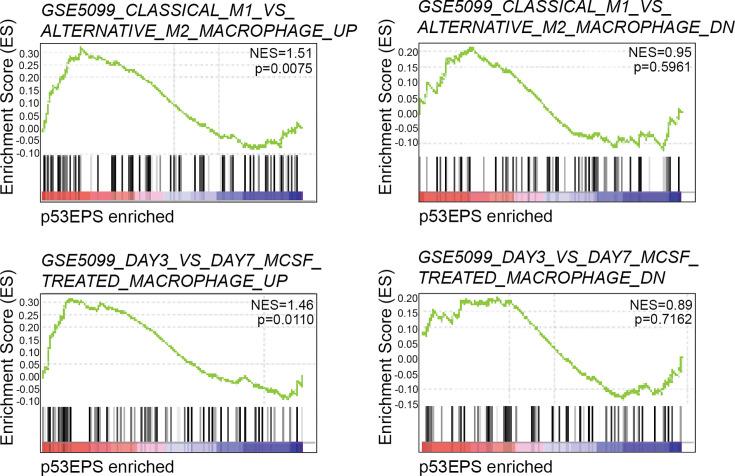 https://cdn.ncbi.nlm.nih.gov/pmc/blobs/8fa3/11272161/8830d6d13623/elife-93077-fig3-figsupp1.jpg