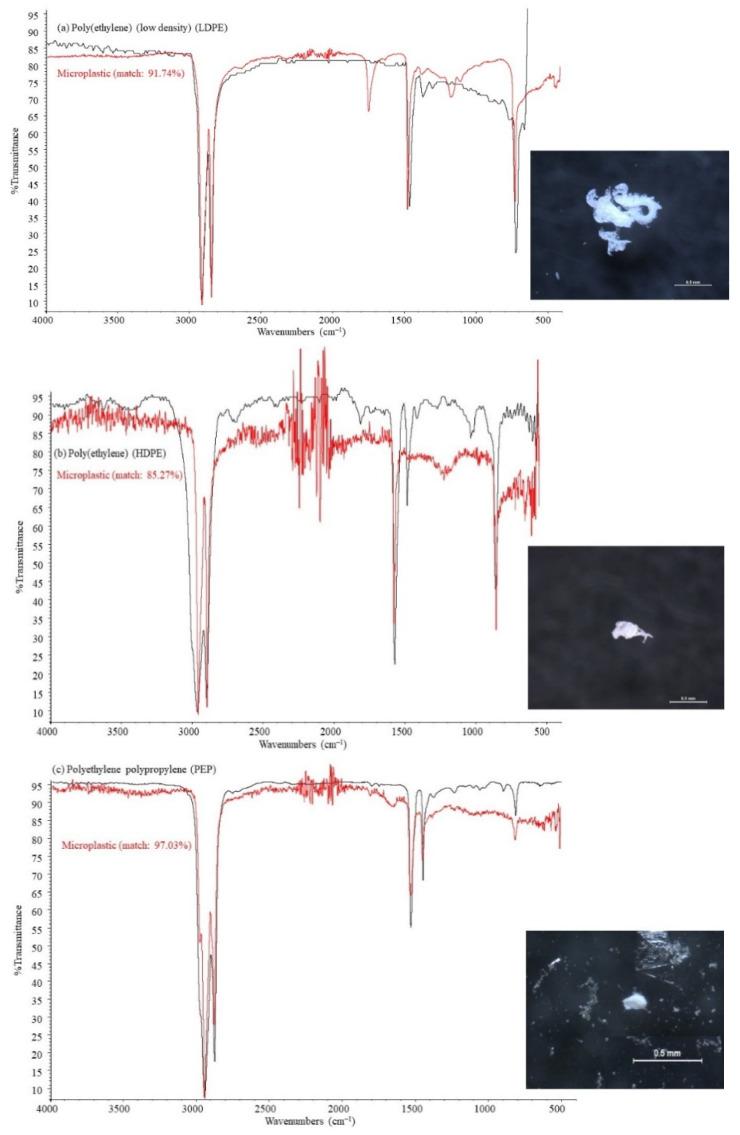 https://cdn.ncbi.nlm.nih.gov/pmc/blobs/8fa4/8297190/c2a2cdf0158c/ijerph-18-06844-g004.jpg