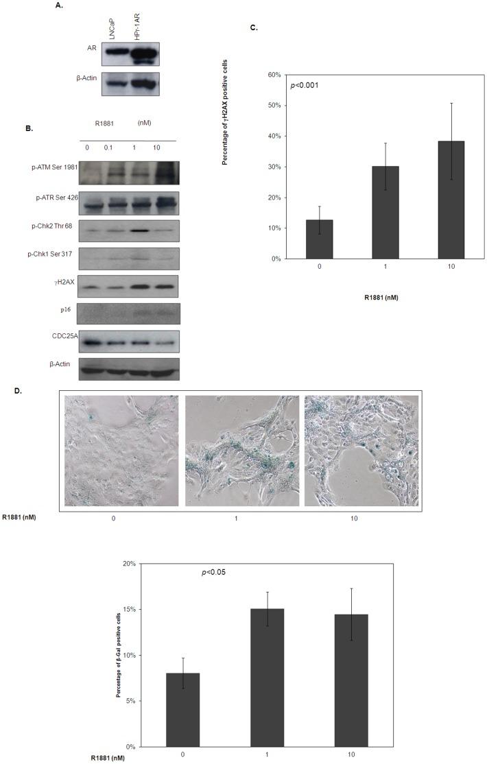 https://cdn.ncbi.nlm.nih.gov/pmc/blobs/8fa5/3525593/e511e4f7f91a/pone.0051108.g001.jpg