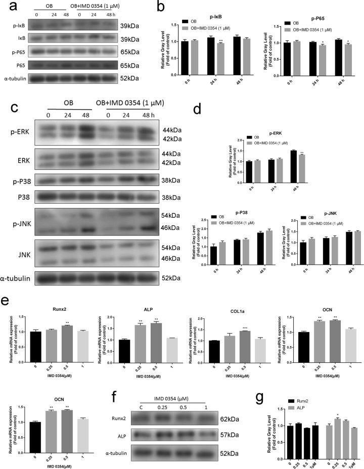 https://cdn.ncbi.nlm.nih.gov/pmc/blobs/8fa6/6737093/a8462ea6b105/41419_2019_1914_Fig8_HTML.jpg