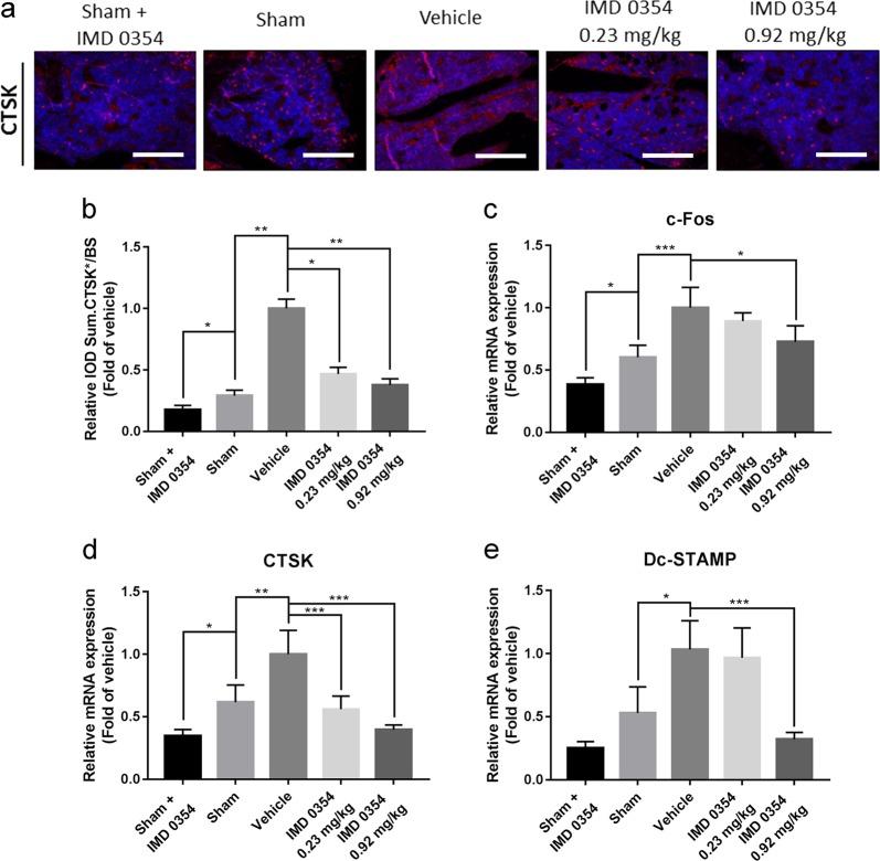 https://cdn.ncbi.nlm.nih.gov/pmc/blobs/8fa6/6737093/f0aa9a9a31e2/41419_2019_1914_Fig2_HTML.jpg