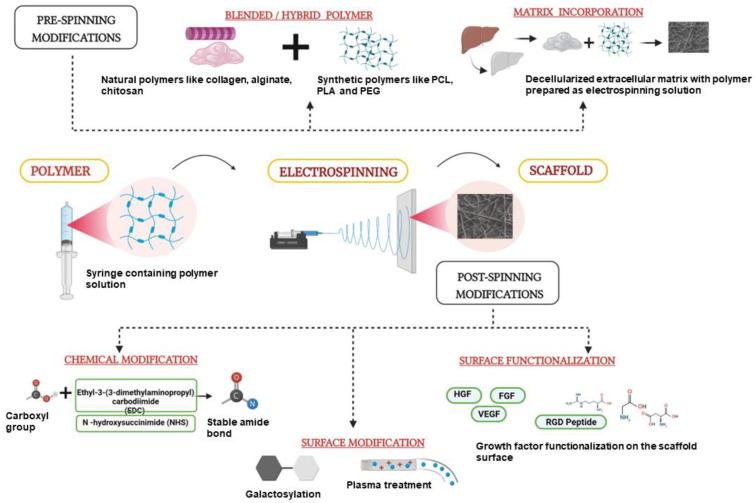 https://cdn.ncbi.nlm.nih.gov/pmc/blobs/8fa7/9589992/6a94de2ece5f/biomimetics-07-00149-g005.jpg