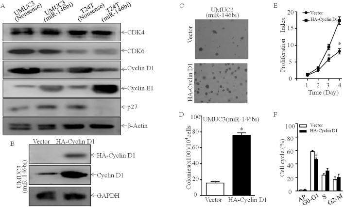 https://cdn.ncbi.nlm.nih.gov/pmc/blobs/8fa9/11985428/0ce2112c13f9/fonc-15-1565638-g002.jpg