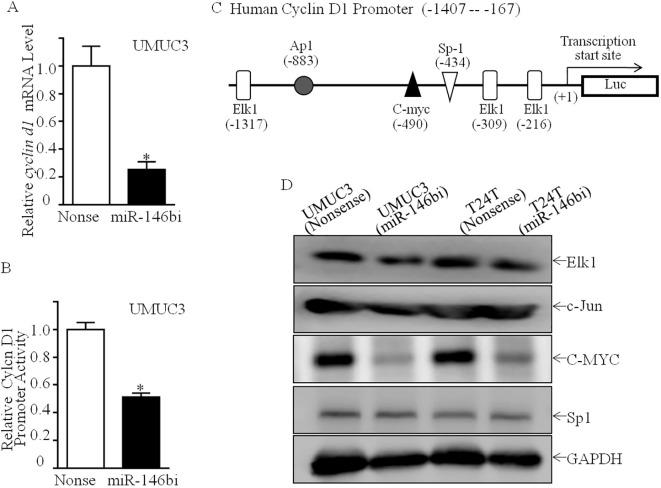 https://cdn.ncbi.nlm.nih.gov/pmc/blobs/8fa9/11985428/397cf9a05c97/fonc-15-1565638-g003.jpg