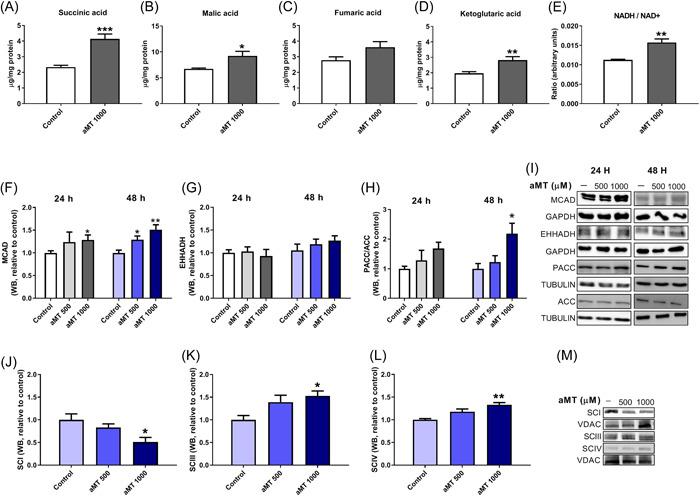 https://cdn.ncbi.nlm.nih.gov/pmc/blobs/8fab/9541246/08af6b9f8b68/JPI-73-e12824-g001.jpg