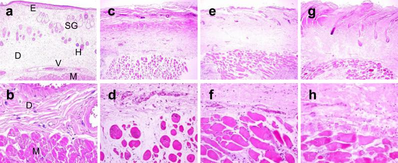 https://cdn.ncbi.nlm.nih.gov/pmc/blobs/8fad/5613958/98fd2baff894/gr2.jpg
