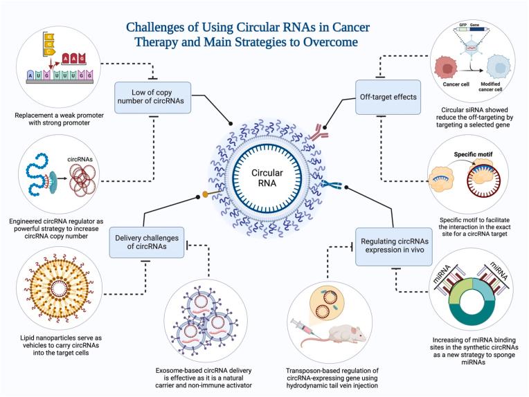 https://cdn.ncbi.nlm.nih.gov/pmc/blobs/8fae/10999493/bd4cdc2f5701/gr4.jpg