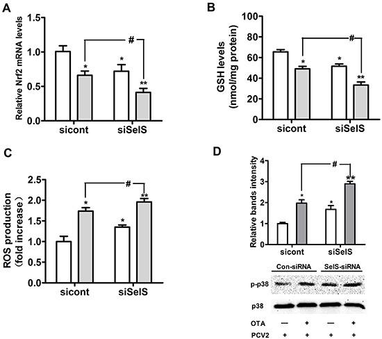 https://cdn.ncbi.nlm.nih.gov/pmc/blobs/8fae/4991468/1d691c159cfb/oncotarget-07-20469-g011.jpg
