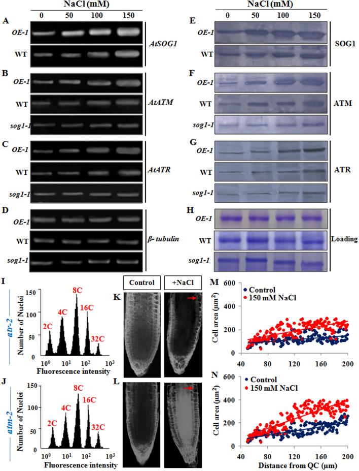 https://cdn.ncbi.nlm.nih.gov/pmc/blobs/8fae/8172935/059af6feb779/41598_2021_91293_Fig9_HTML.jpg